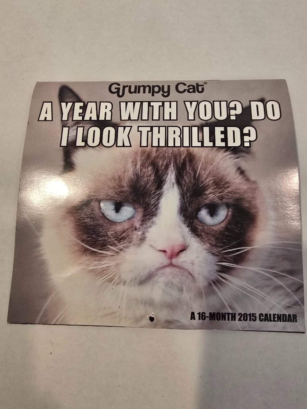 Grumpy Cat Calendar 2015 16-month 7" x 6" inches ACCO Brands Korea